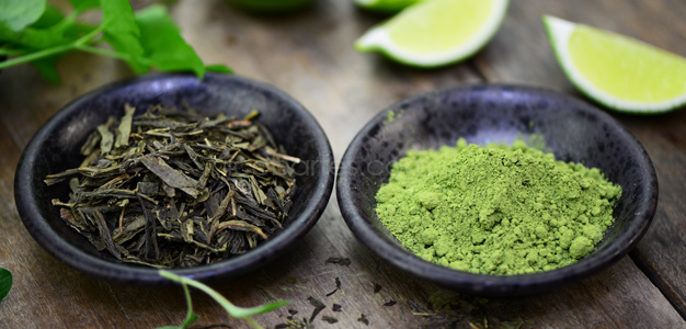 Grüner Tee – welche Wirkung erwartet mich?
