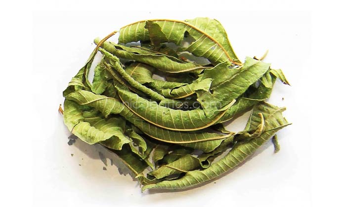 Tee-Blätter