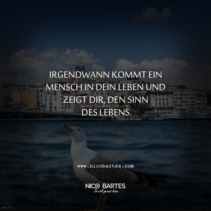 Der Sinn des Lebens – Spruch des Tages